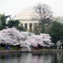 Approaching the Jefferson Memorial